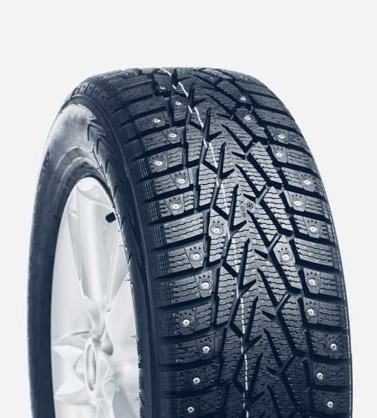 dust seal vs oil seal