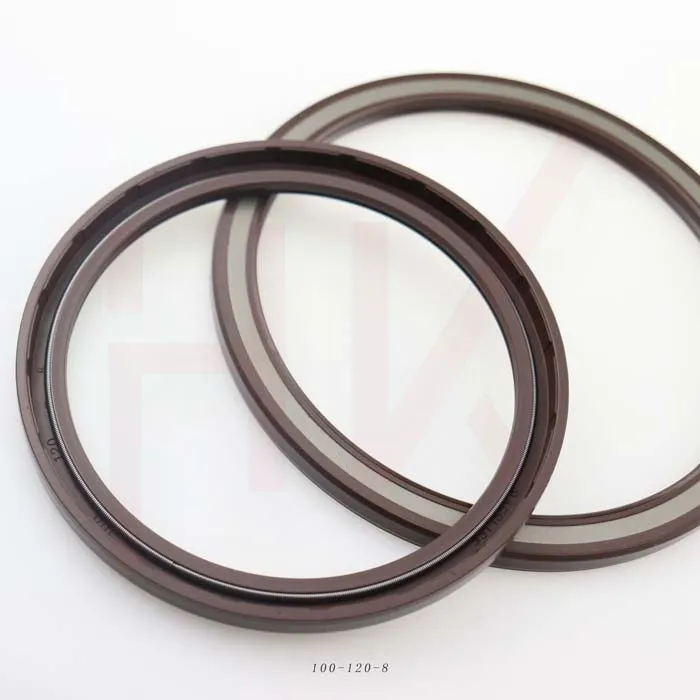 hydraulic motor oil seal