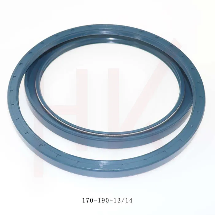 rear hub seal