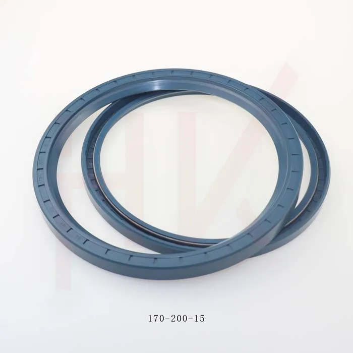 dual loader cylinder seals