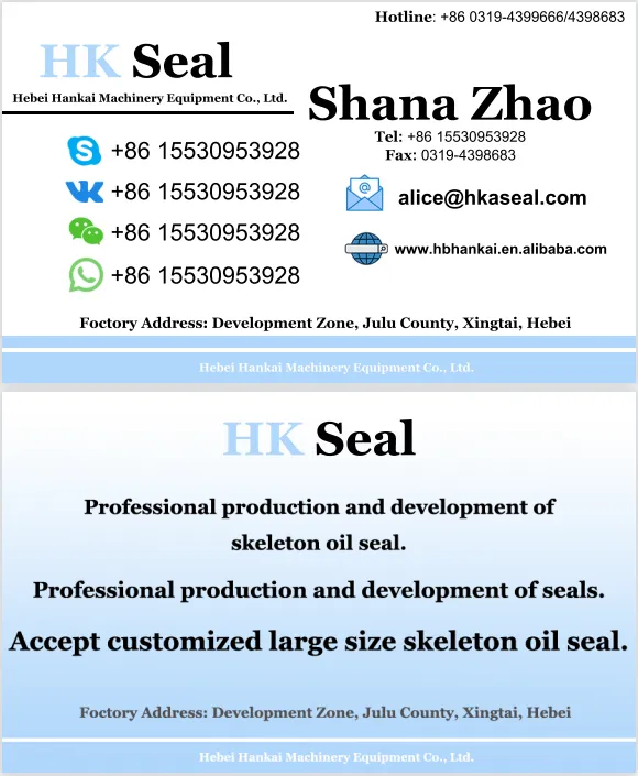 high pressure lip seal